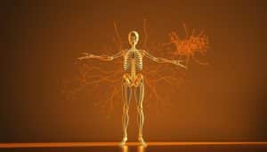 Detailed portrait of the Bernstein degrees of freedom in movement, showcasing the complexity and adaptability of the human motor system. A dynamic figure stands in the foreground, limbs flowing in graceful, interconnected motion. The middle ground features a wireframe skeletal model, highlighting the various joints and degrees of freedom involved. In the background, a neural network visualization pulses with activity, representing the intricate neurological processes governing movement. Warm, natural lighting casts a contemplative mood, emphasizing the beauty and intricacy of this fundamental motor learning principle. Rendered in a realistic, scientific illustration style.