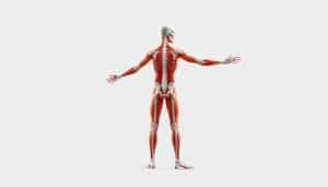 kinetic chain concept for athletes